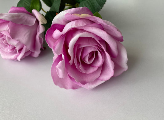 Lilac Velvet Soft Touch Rose