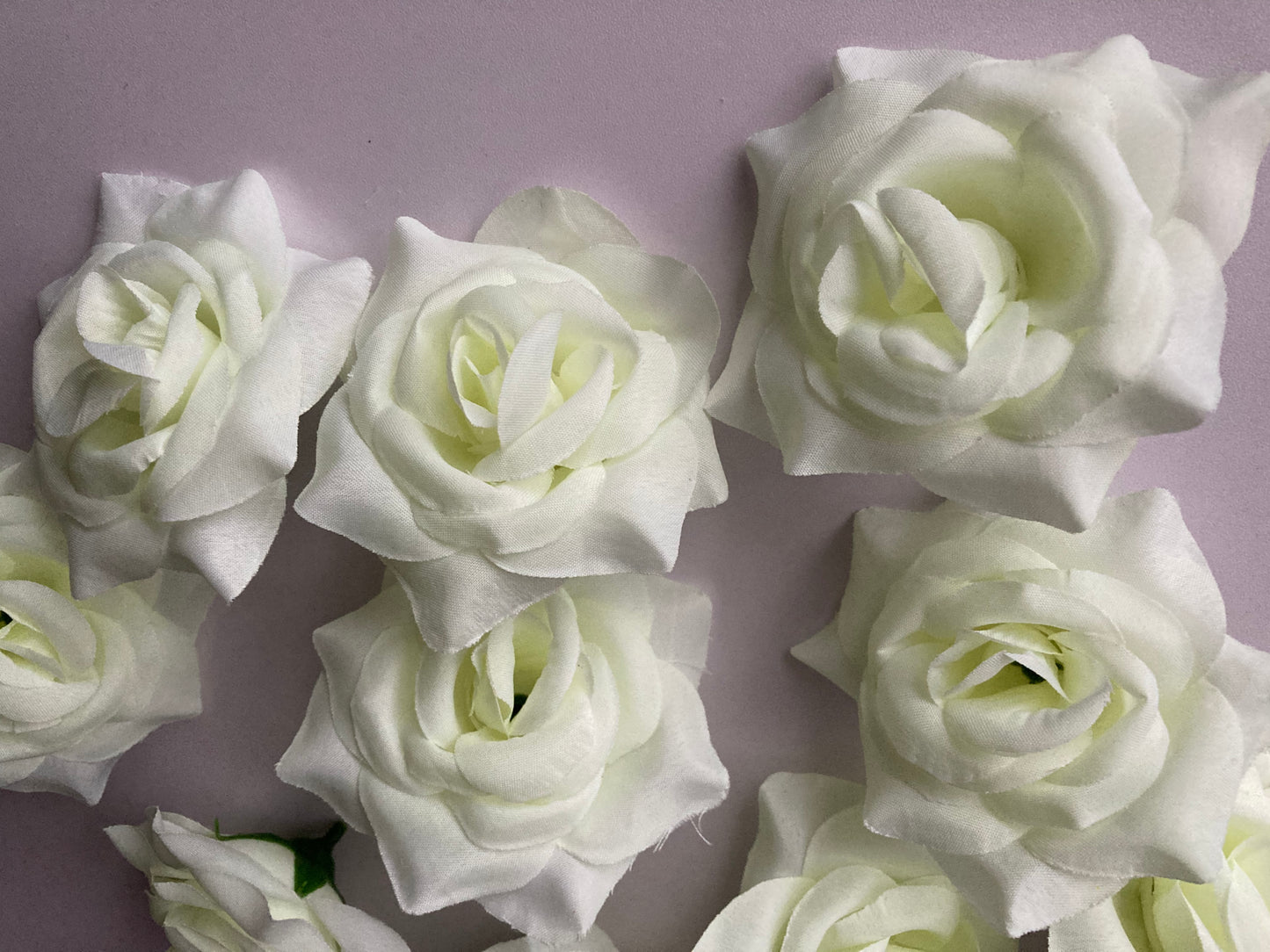 12 Ivory Rose Heads