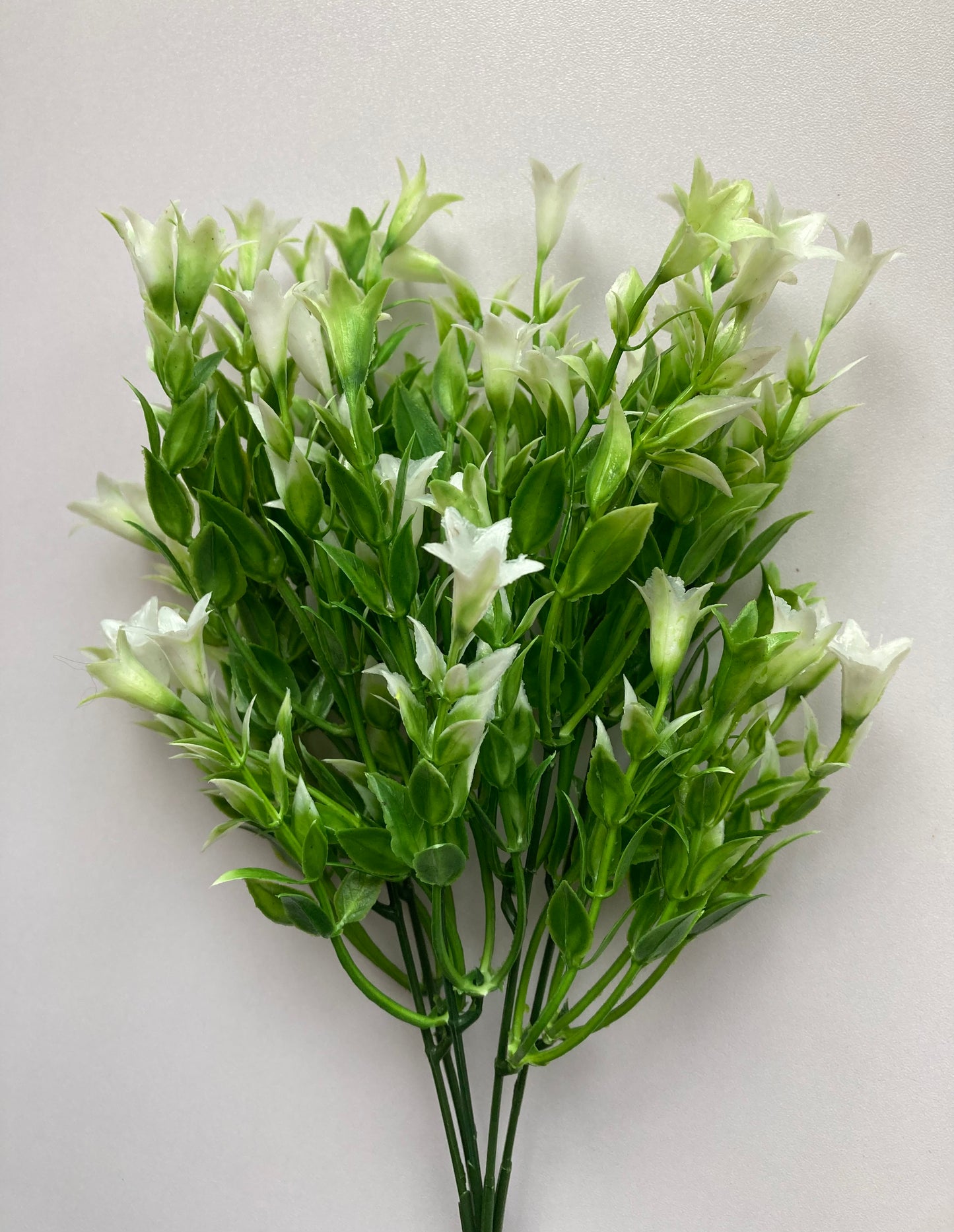 White Wild Lily Flower Foliage