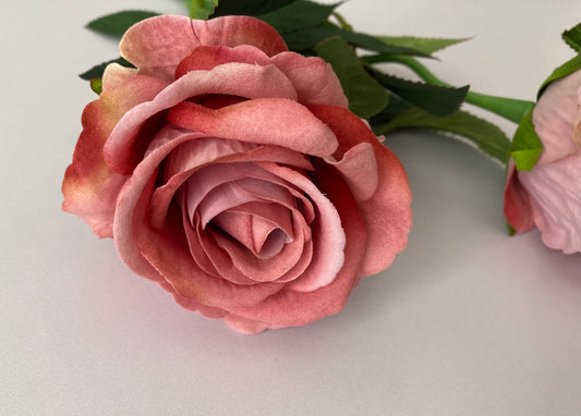 Pink Soft Velvet Rose