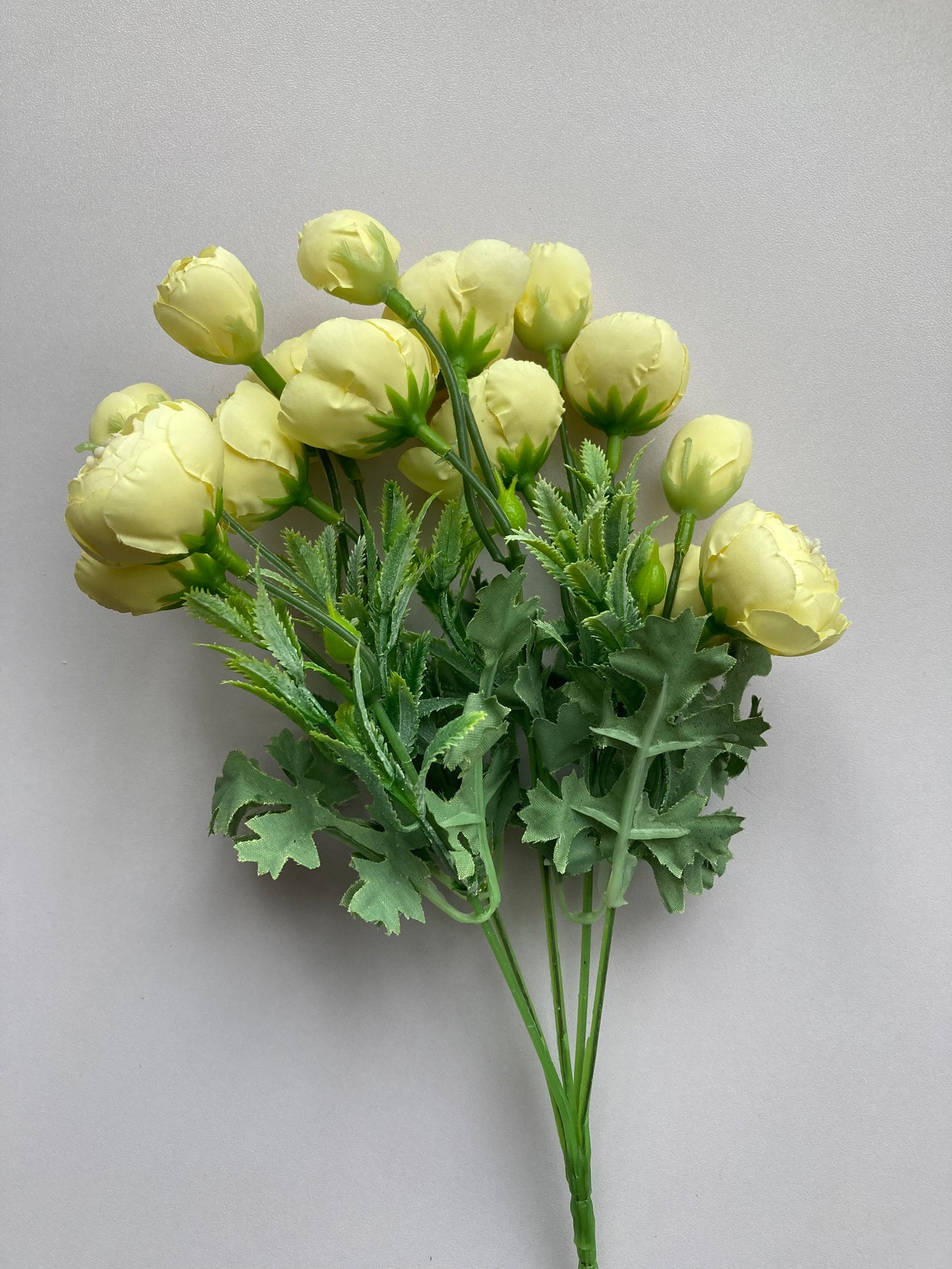 Soft Yellow Ranunculus Bunch