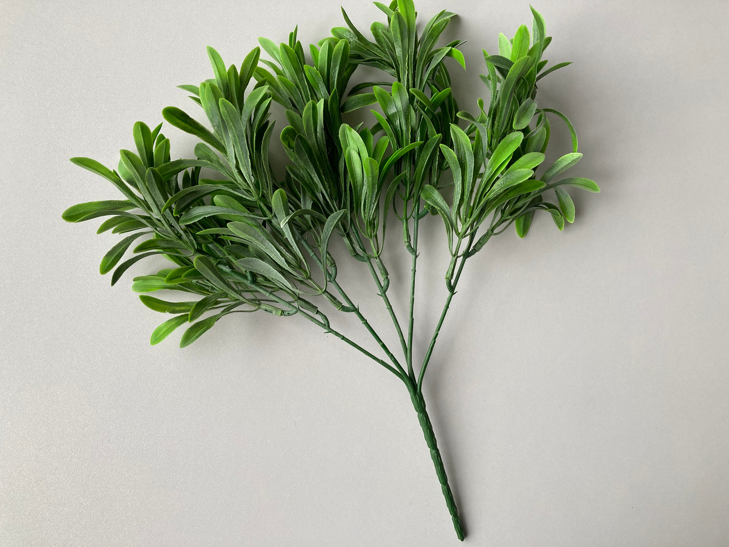 Leafy Greenery Foliage