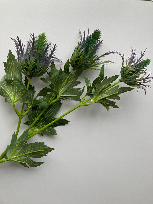 Sea Holly Thistle