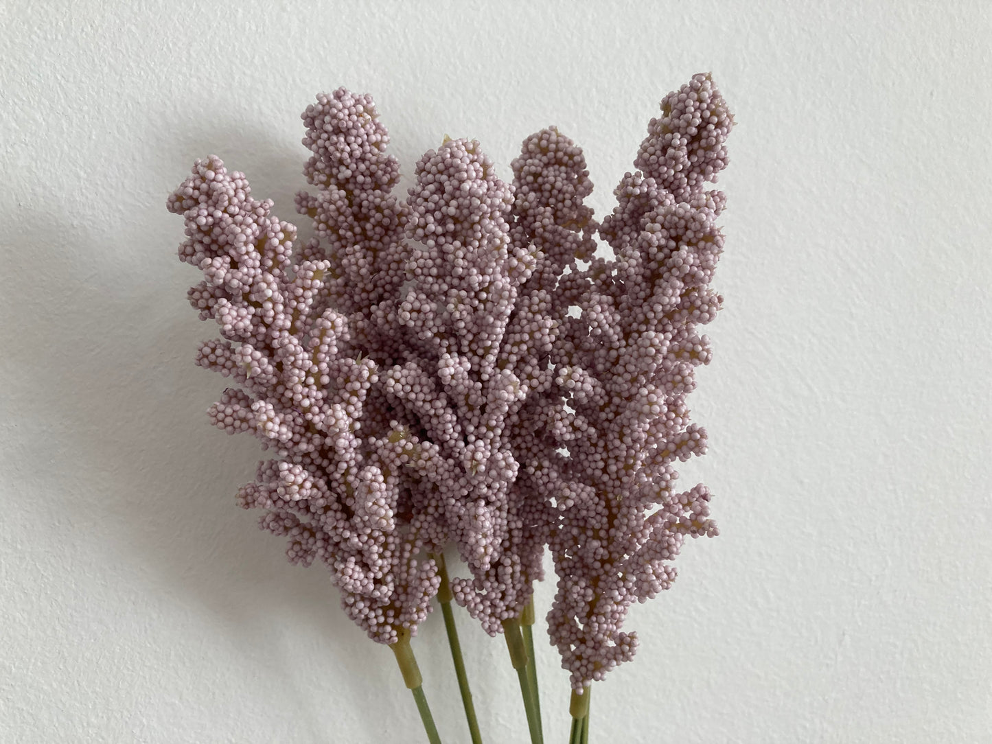 Lilac Seeded Astilbe