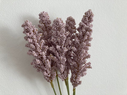 Lilac Seeded Astilbe