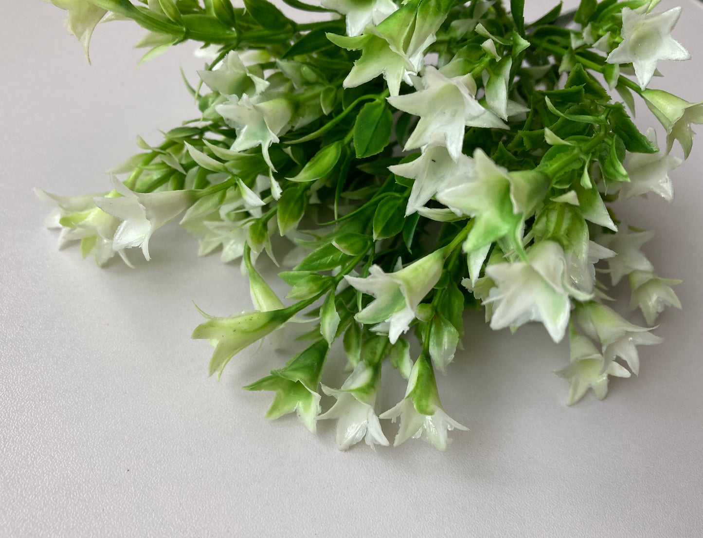 White Wild Lily Flower Foliage