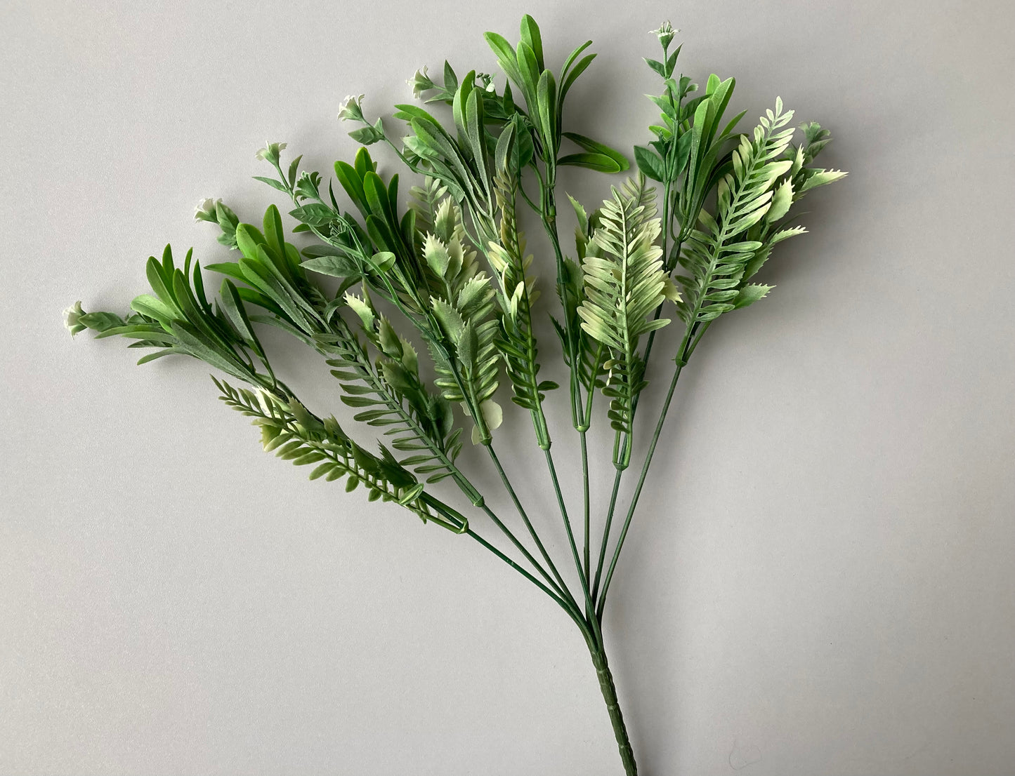 White & Green Mixed Foliage
