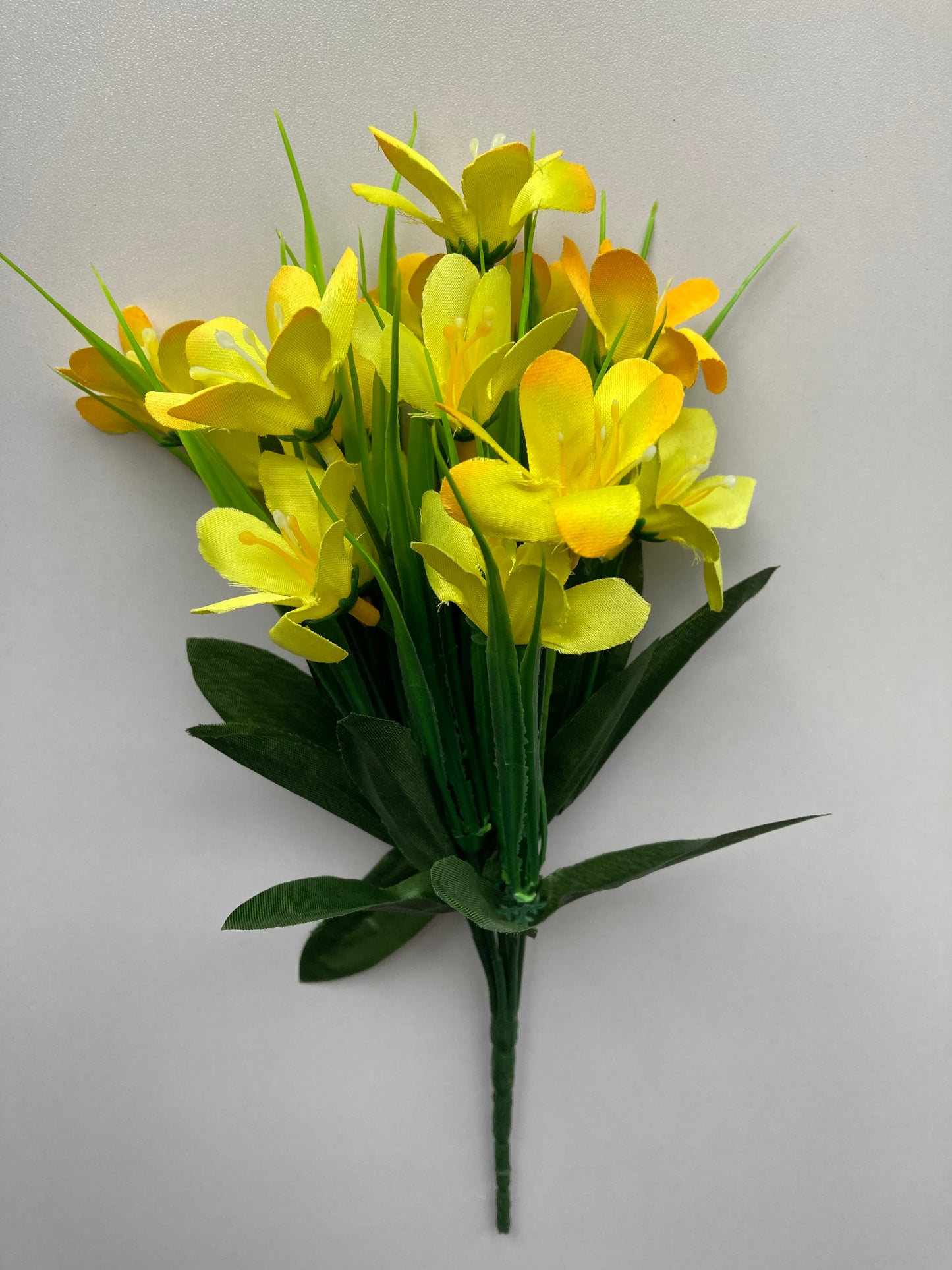 Yellow Wild Flower Bush