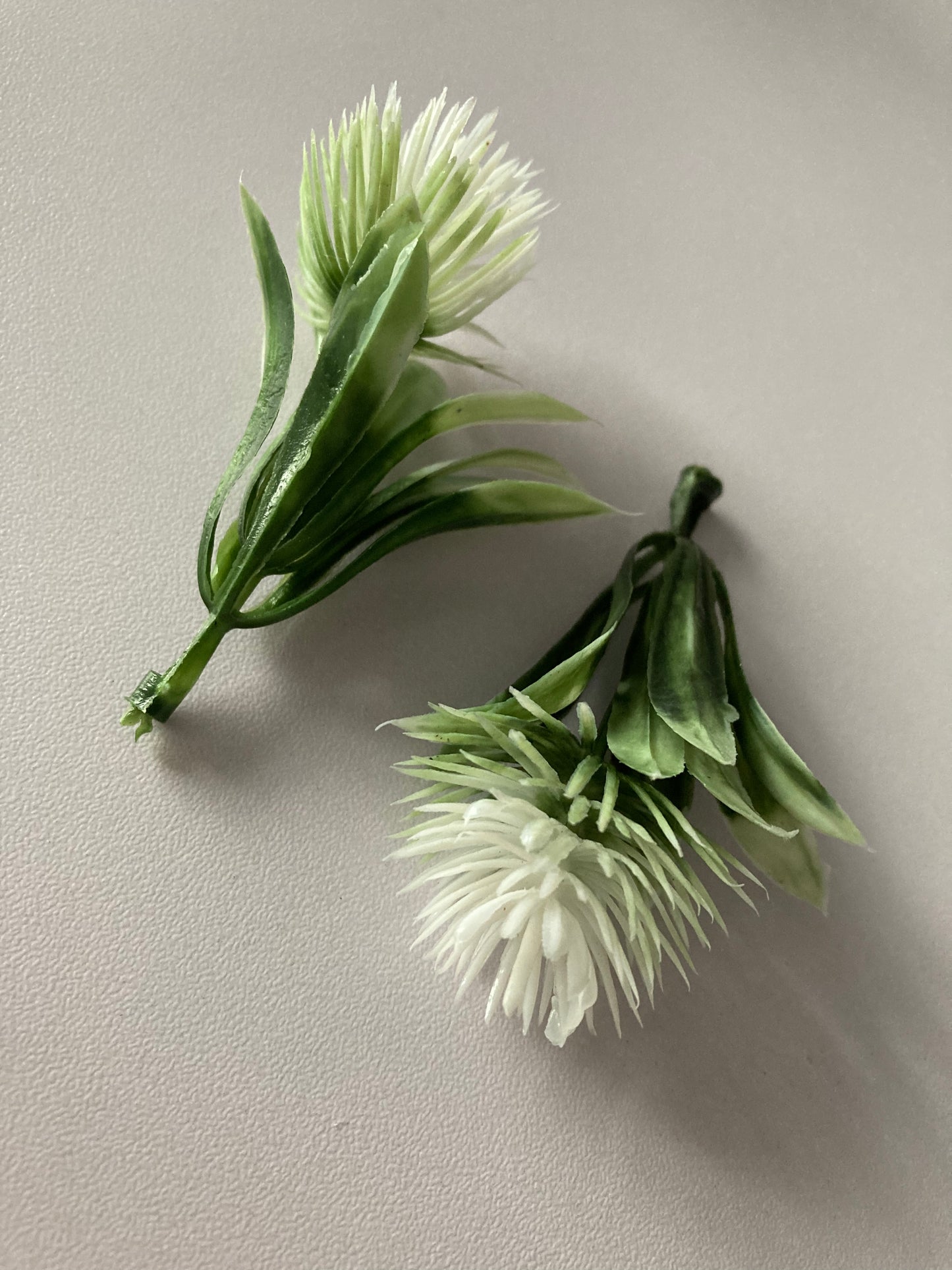 White Thistle Bunch