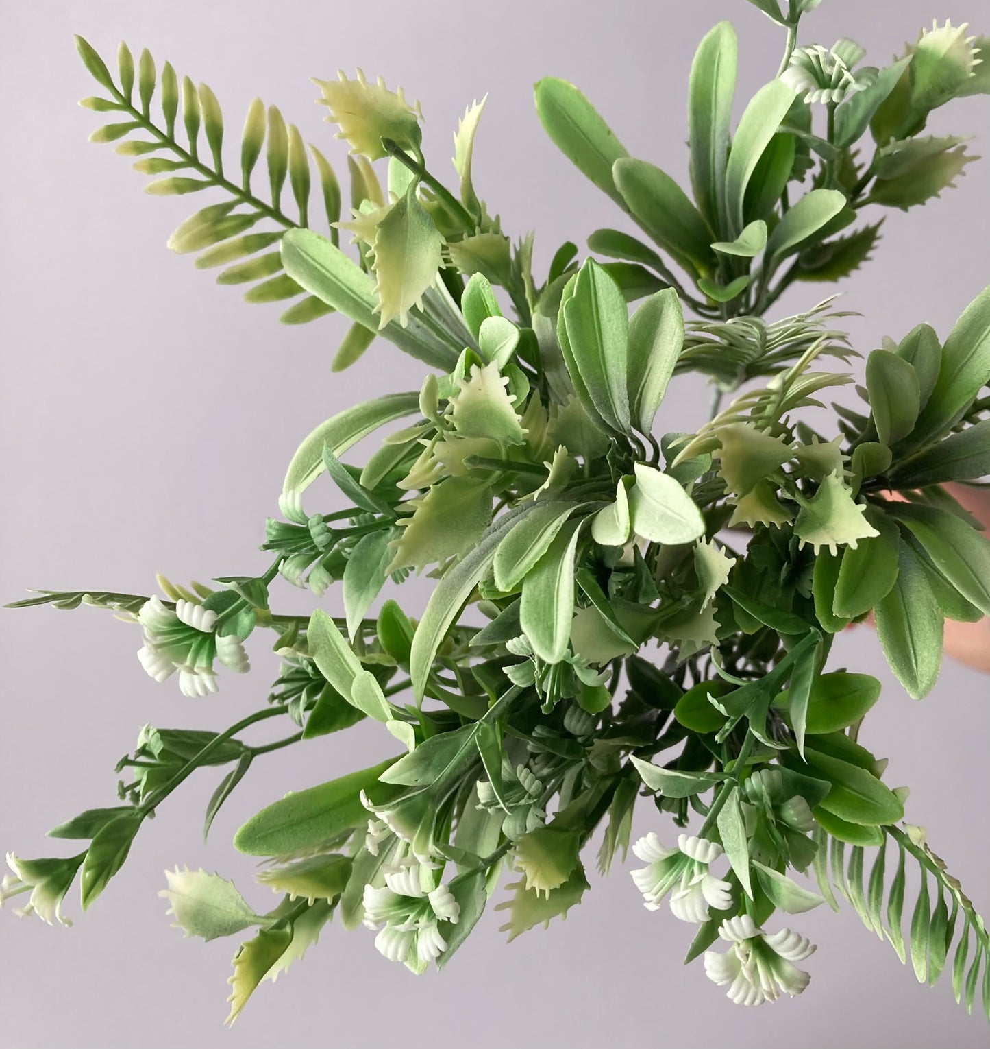 White & Green Mixed Foliage