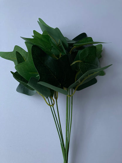 Ivy Bunch