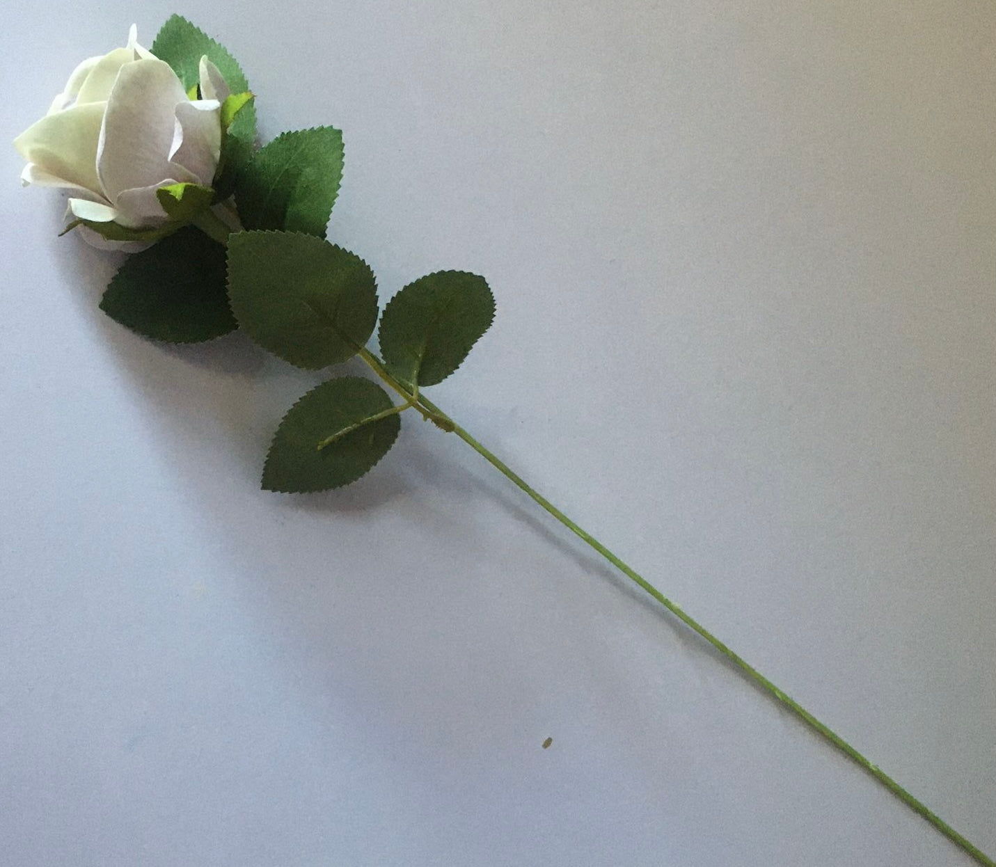Lilac Centre Small Velvet Rose