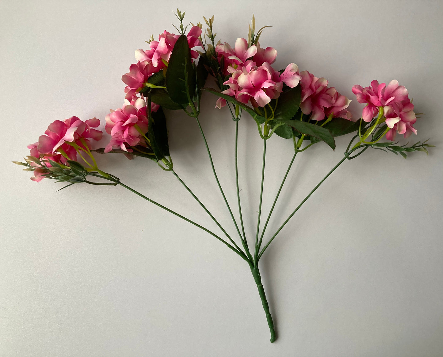 Pink Hyacinth Bush
