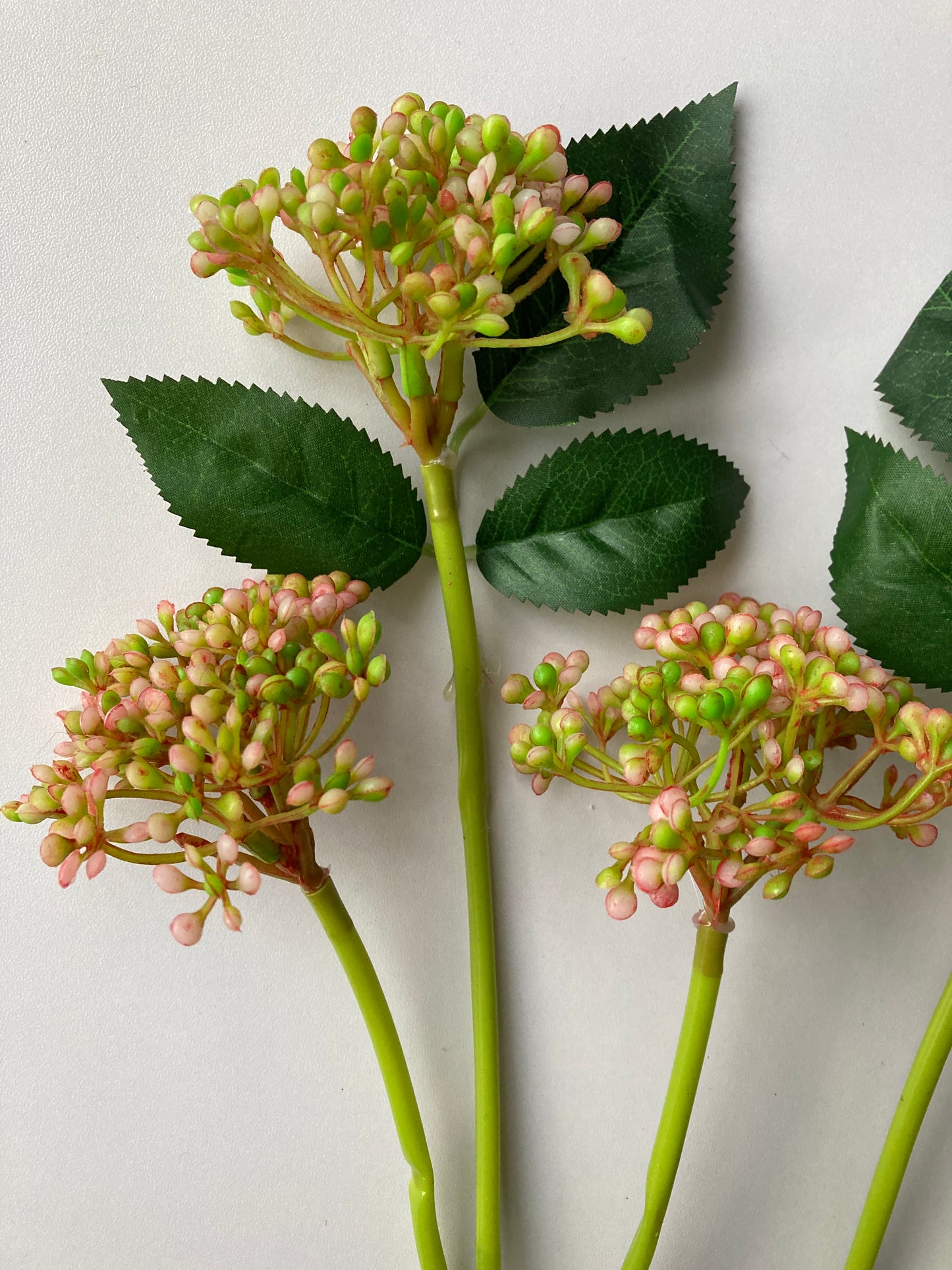 Pink & Green Berries Bunch