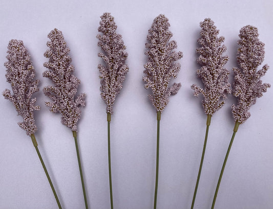 Lilac Seeded Astilbe