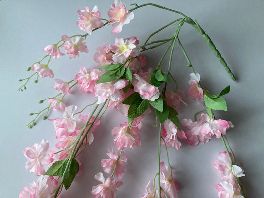 Pink Delphinium Trailing