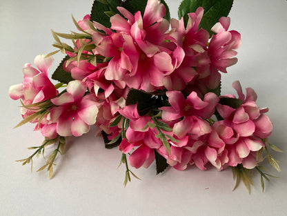 Pink Hyacinth Bush
