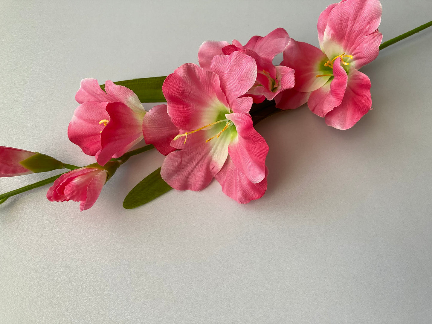 Pink Gladiolus Spray