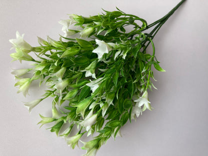 White Wild Lily Flower Foliage