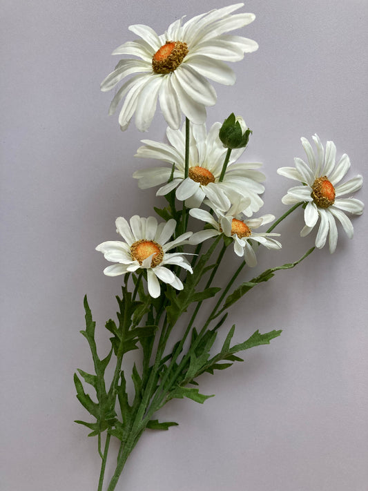 White Wild Daisy Spray