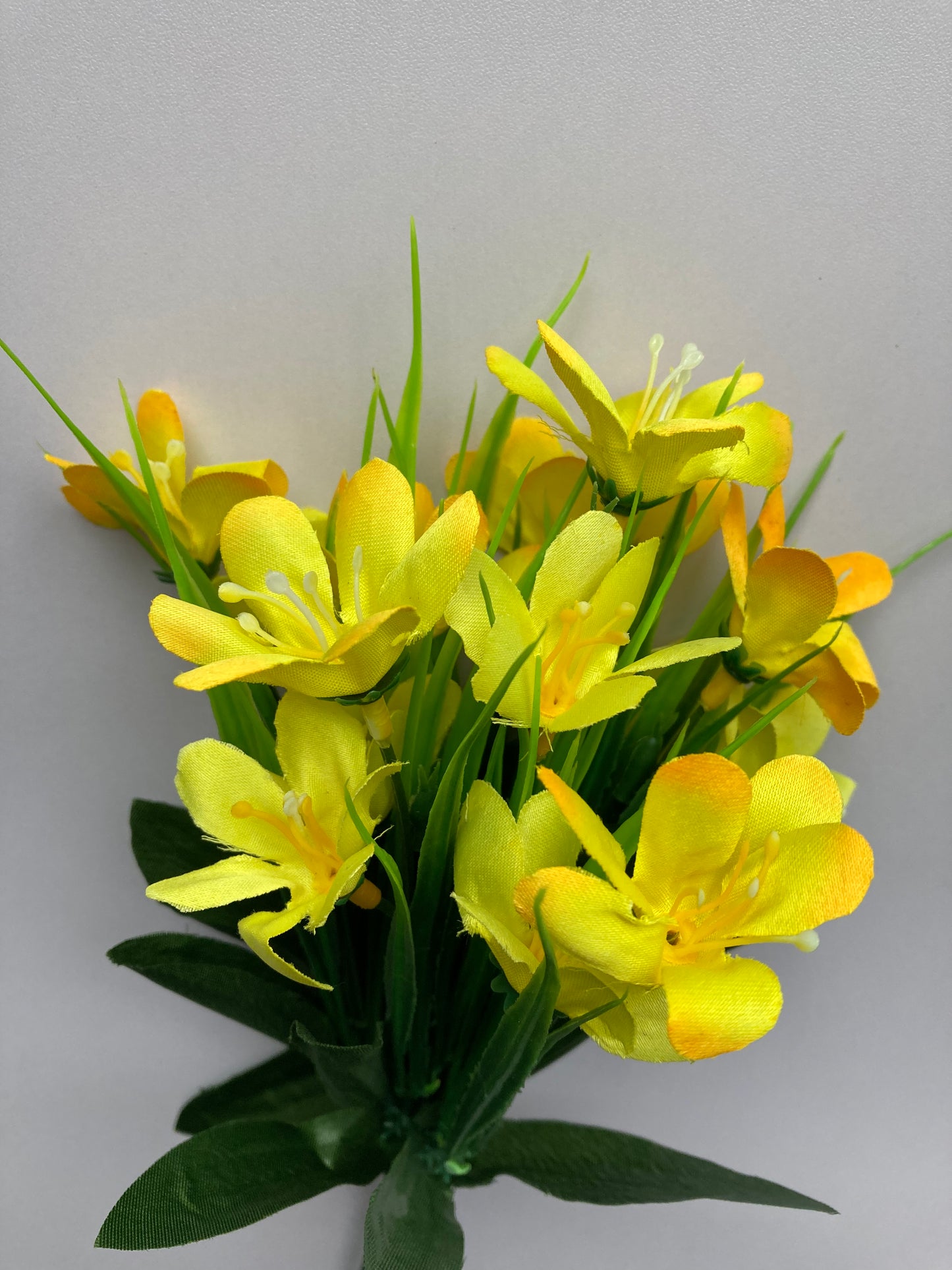 Yellow Wild Flower Bush