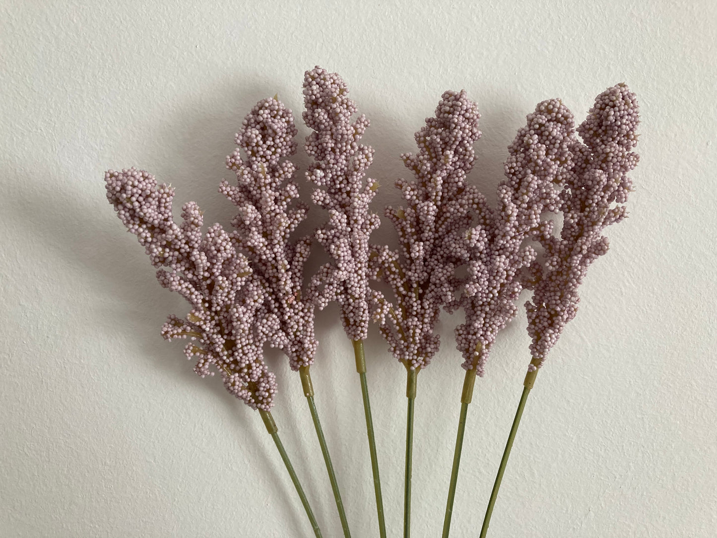 Lilac Seeded Astilbe