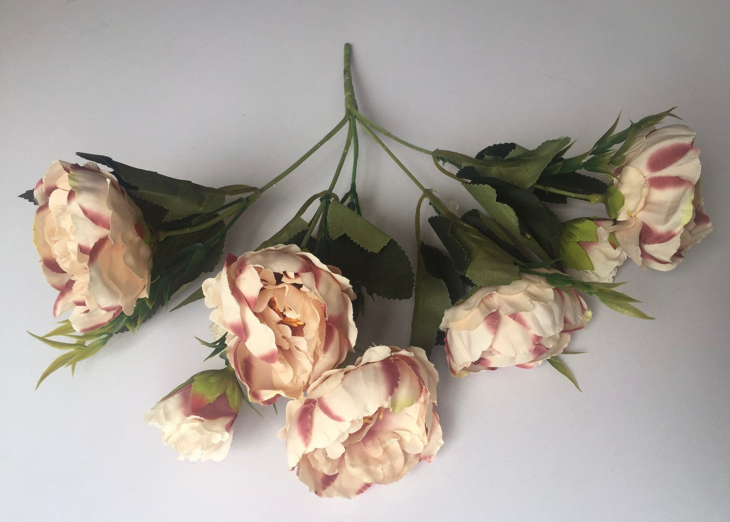 Mauve Tipped Peony Bunch