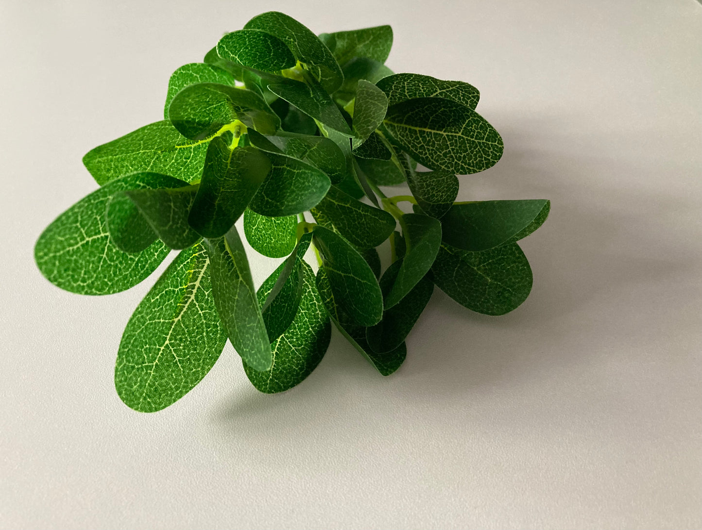 Small Leaf Bunch