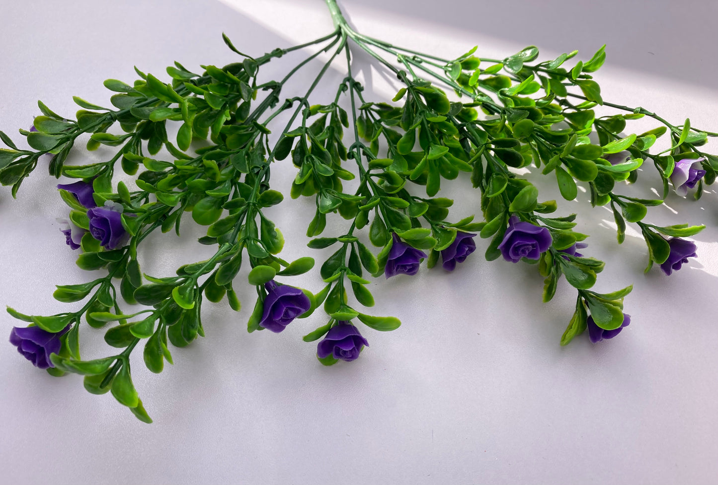 Purple Small Rose Bush