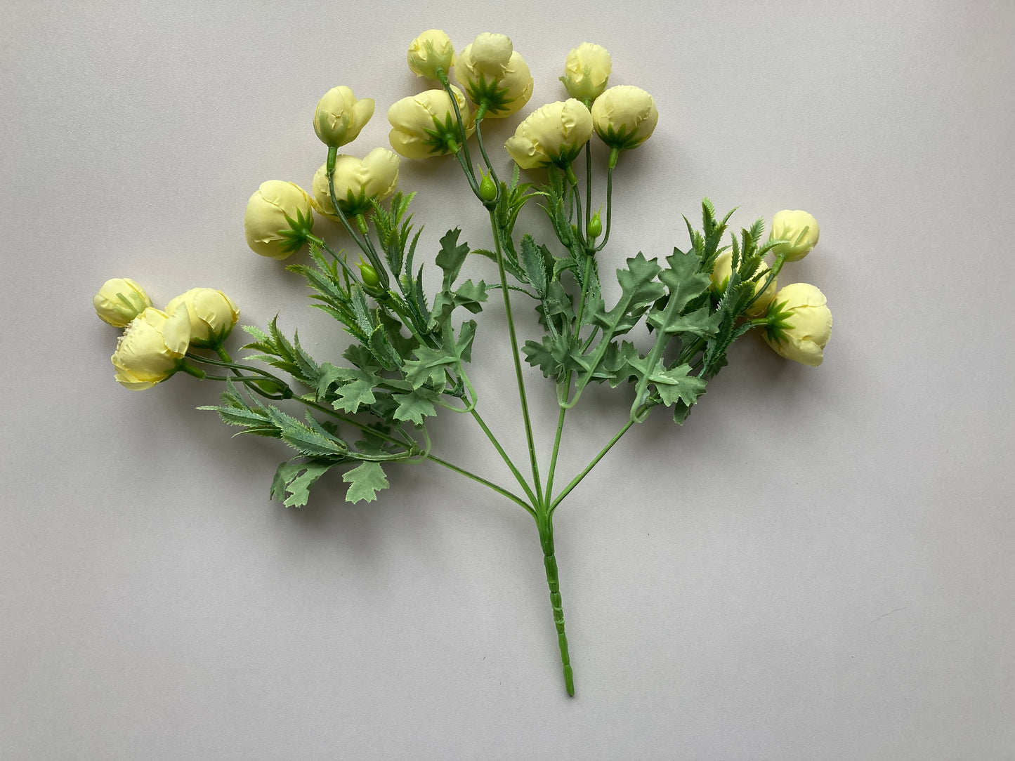 Soft Yellow Ranunculus Bunch