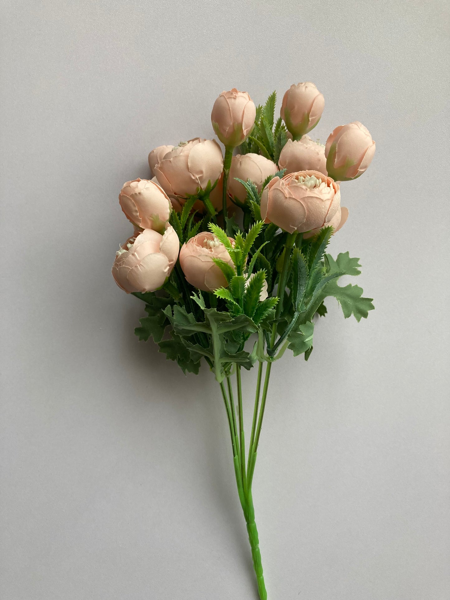 Mini Peach Ranunculus Bunch