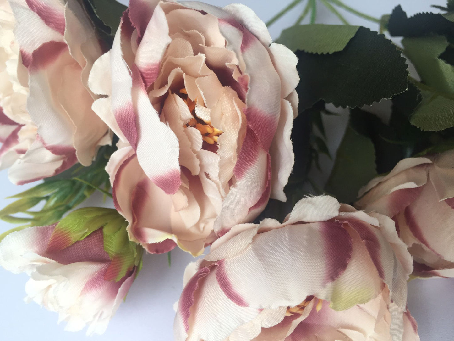 Mauve Tipped Peony Bunch