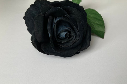 Black Velvet Rose Single Stem