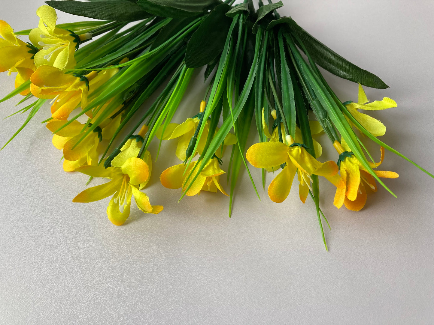 Yellow Wild Flower Bush