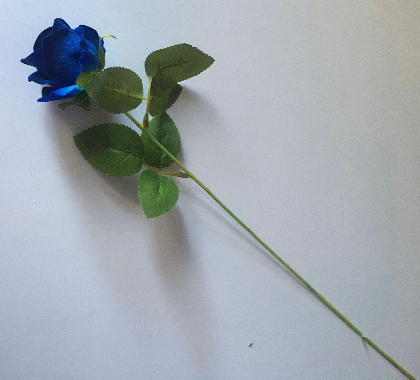 Small Velvet Royal Blue Rose