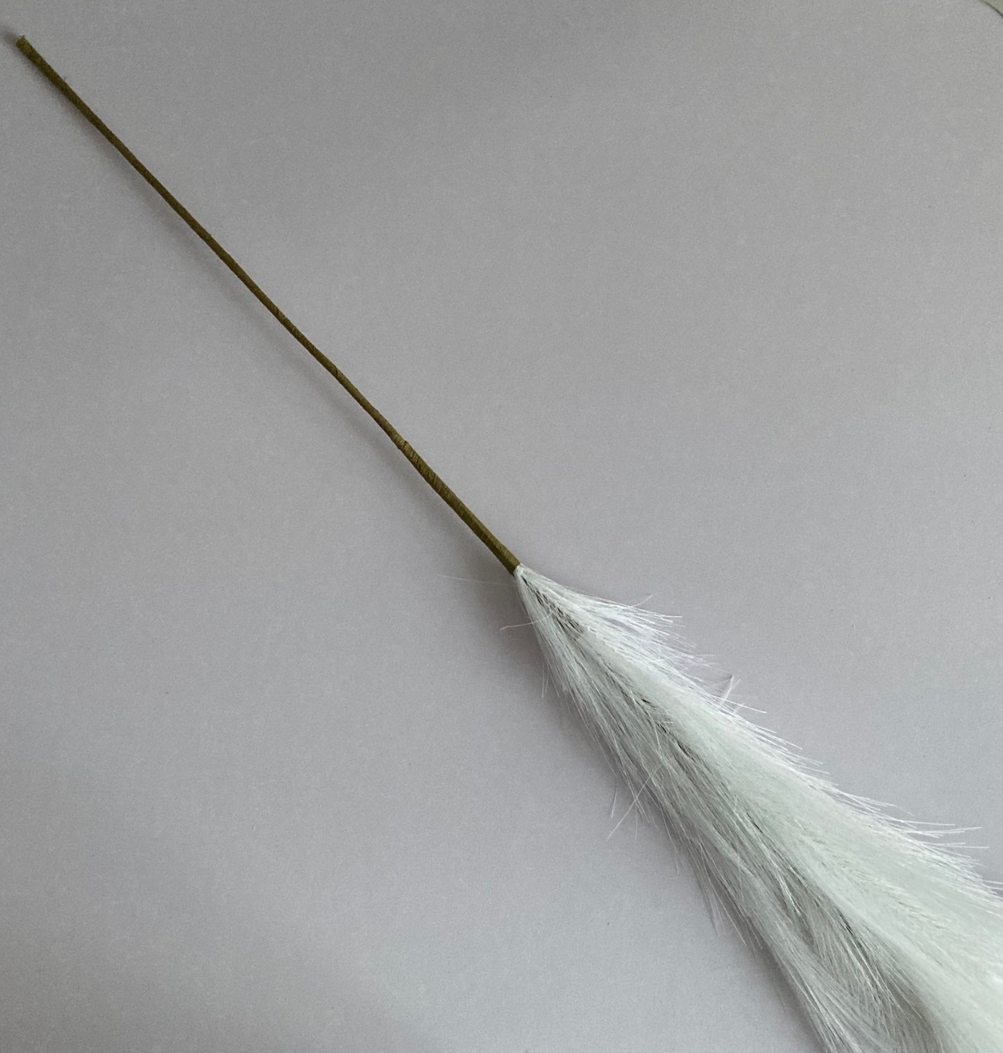 White Long Pampas