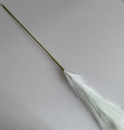 White Long Pampas