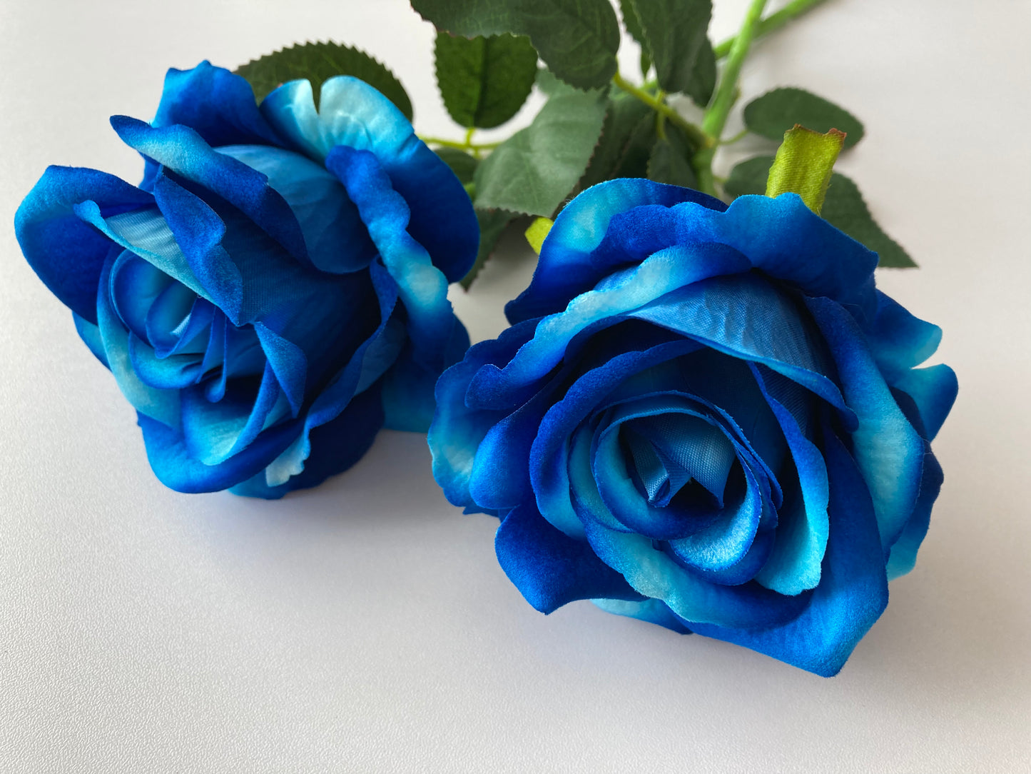 Mixed Blue Velvet Touch Rose