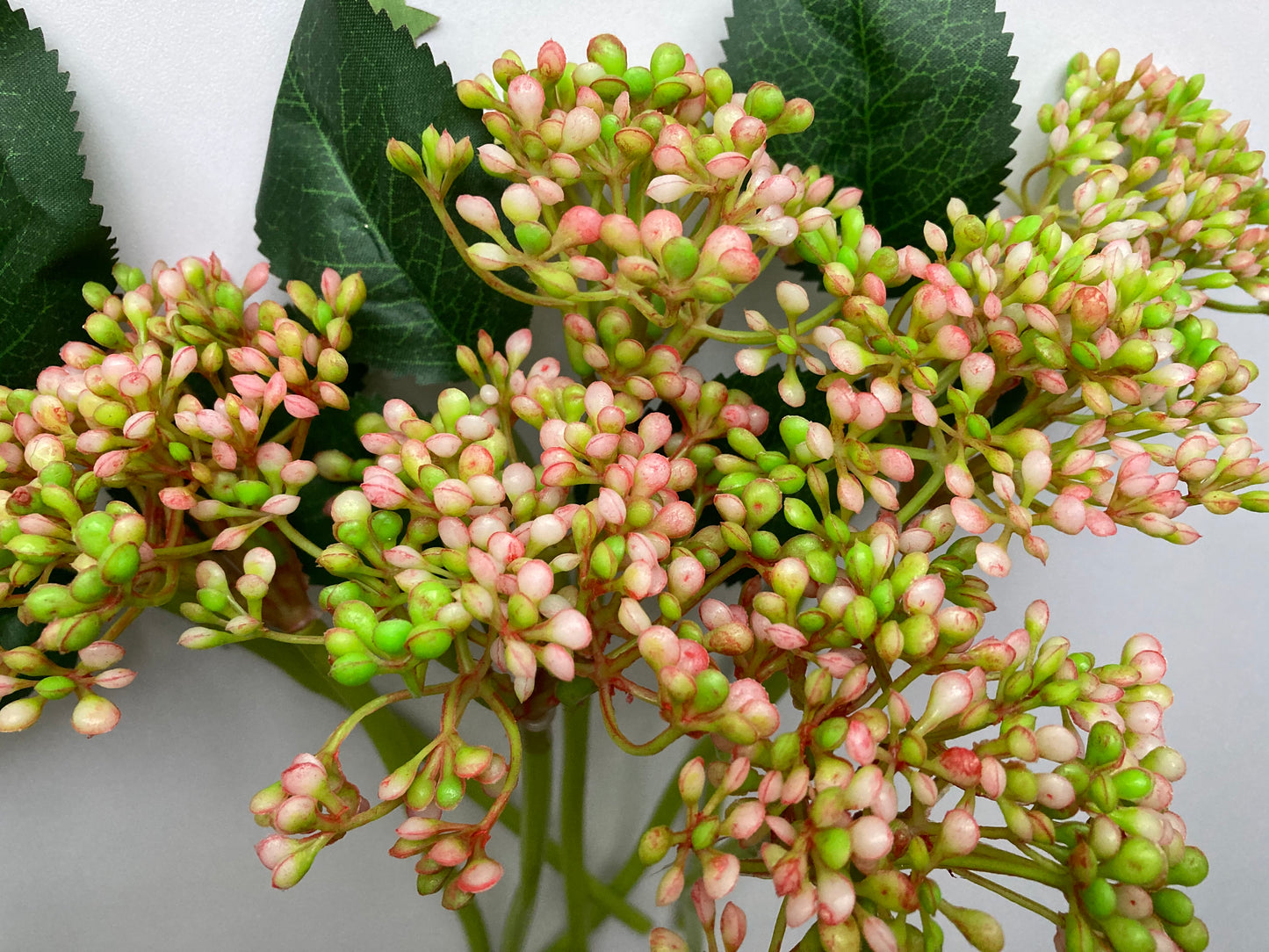 Pink & Green Berries Bunch