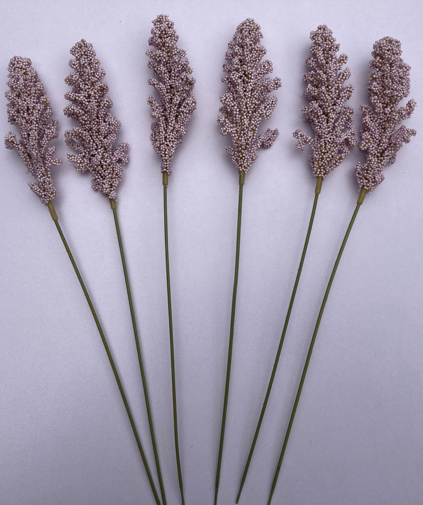 Lilac Seeded Astilbe