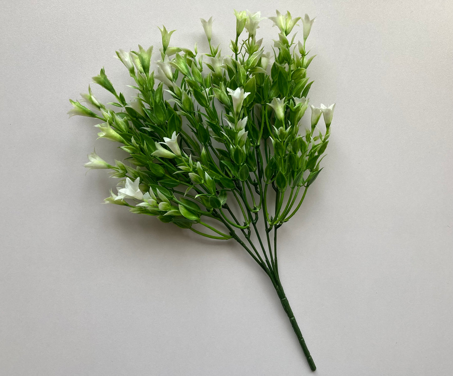 White Wild Lily Flower Foliage