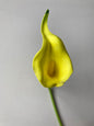 10 Real Touch Calla Lily
