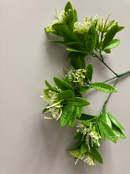 White Flower Foliage