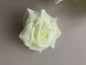 12 Ivory Rose Heads