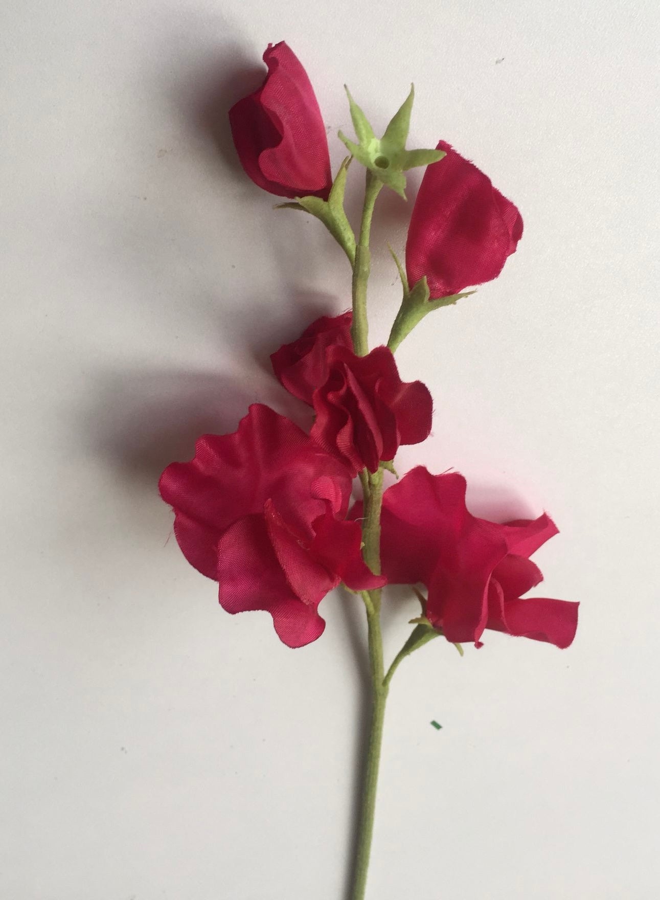 Pink Sweet Pea Stem