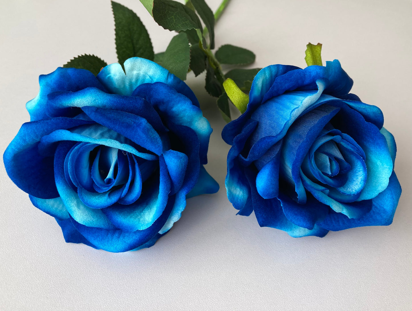 Mixed Blue Velvet Touch Rose