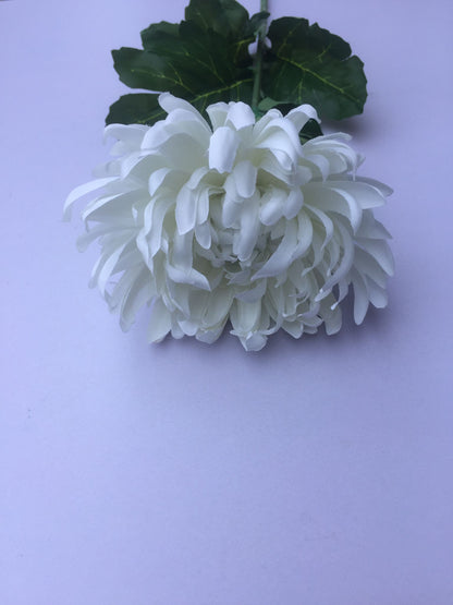 White Chrysanthemum Stem
