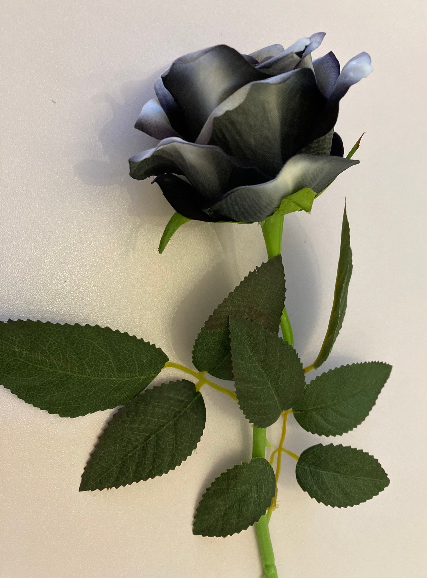 Black & Grey Velvet Rose