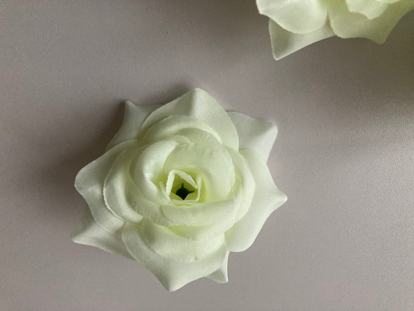 12 Ivory Rose Heads