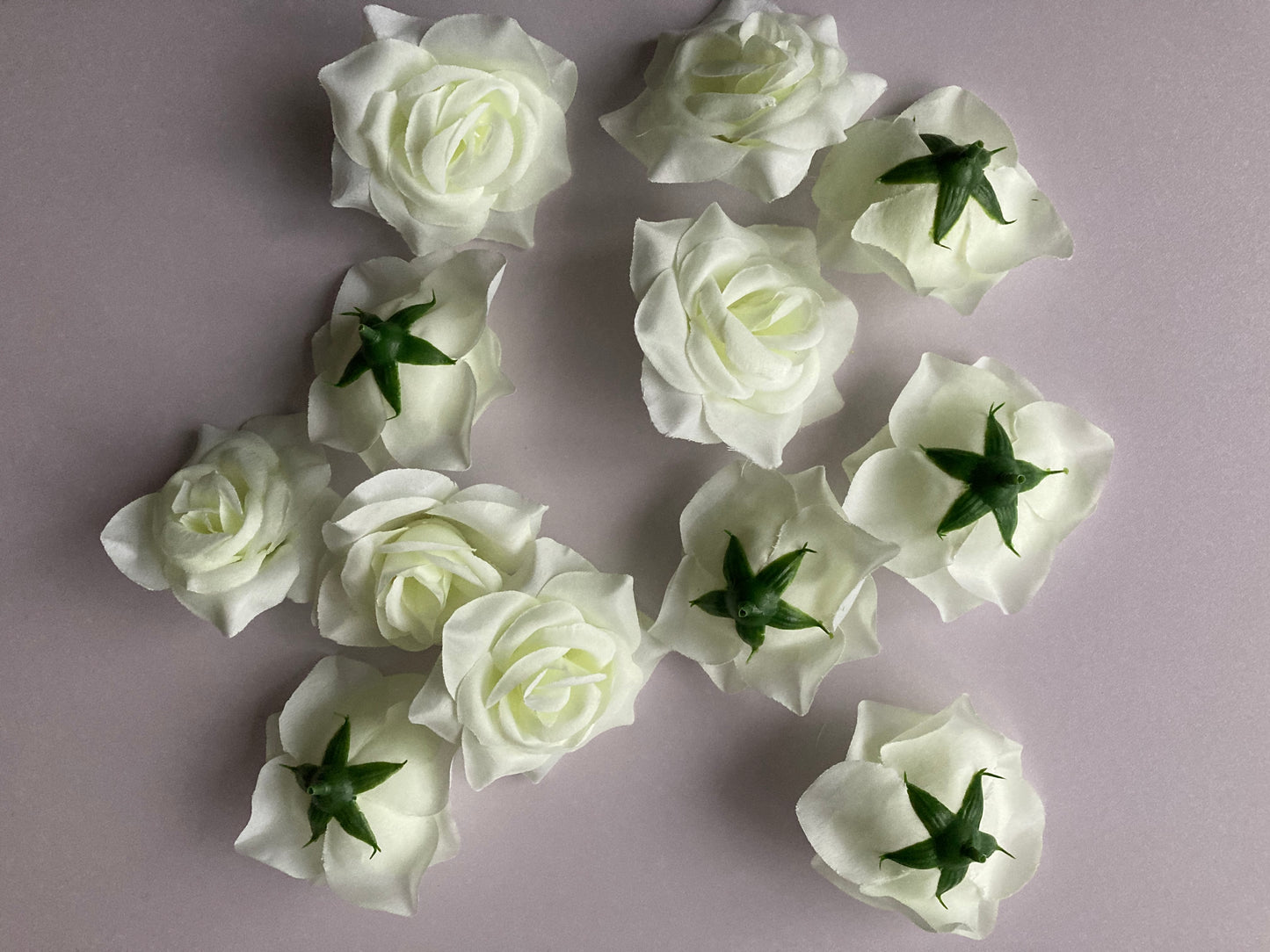 12 Ivory Rose Heads